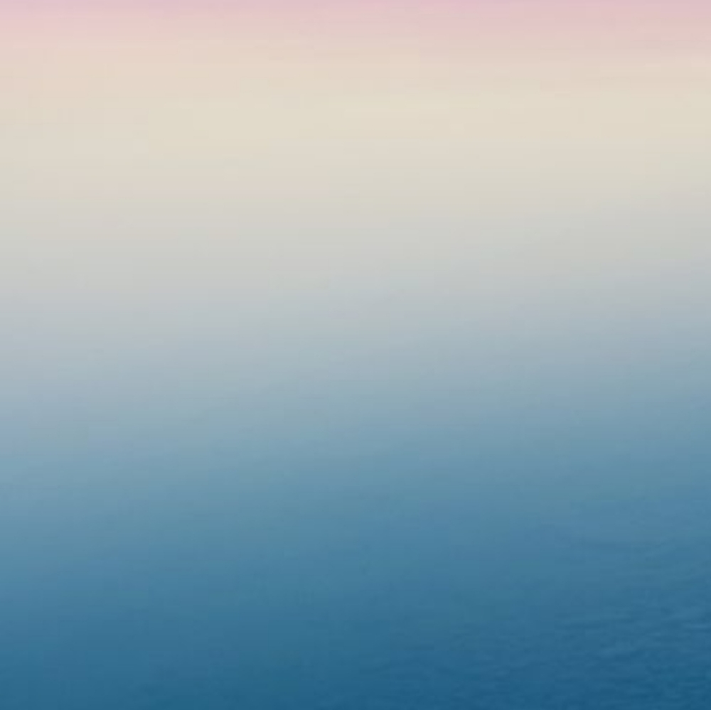 Meet your Posher, Suzi